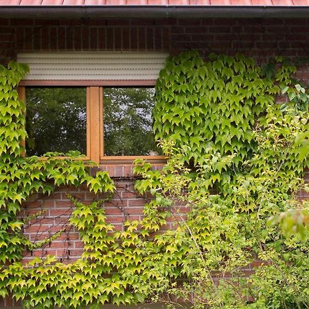 Ferienwohnung Meinersen Luaran gambar