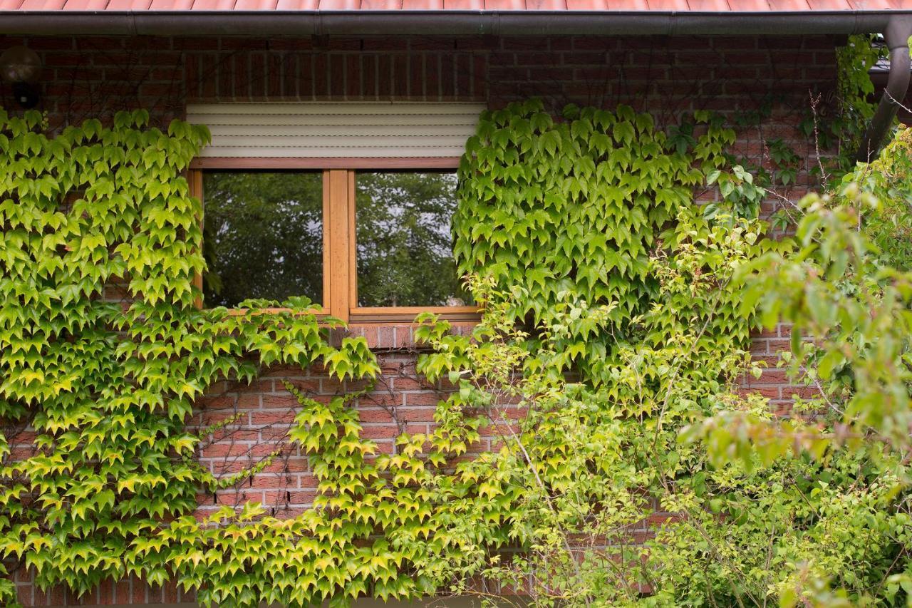 Ferienwohnung Meinersen Luaran gambar